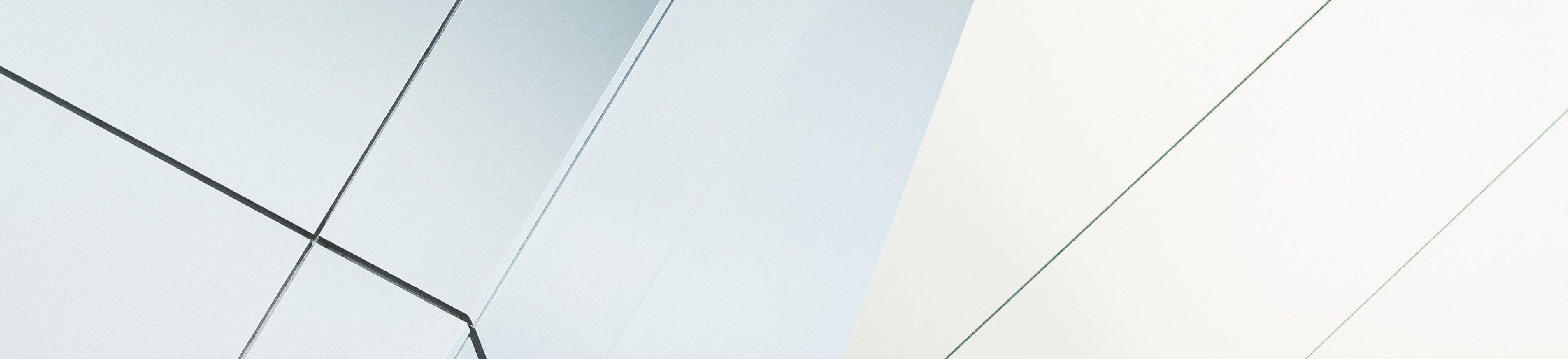 Report EPA+DHA Omega3s and ADHD